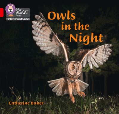 Owls in the night