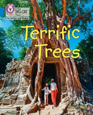 Terrific trees