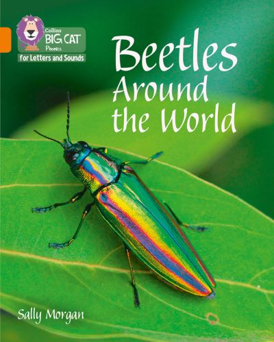 Beetles around the world