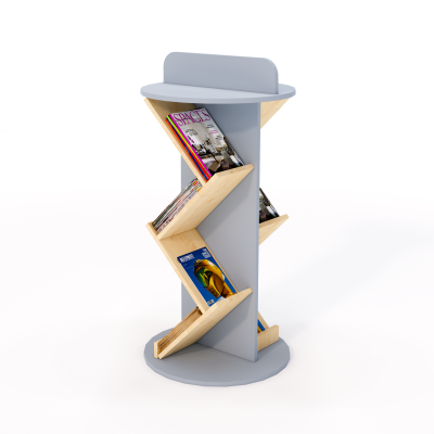 Magazine ladder UK for schools