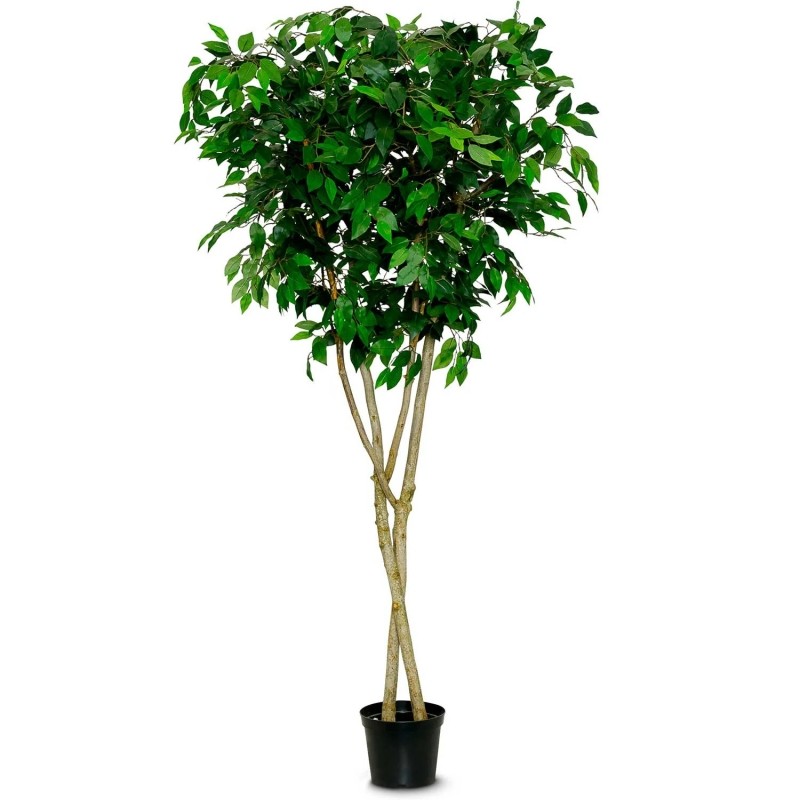 Ficus reading tree Ficus reading tree in planter | artificial trees for schools